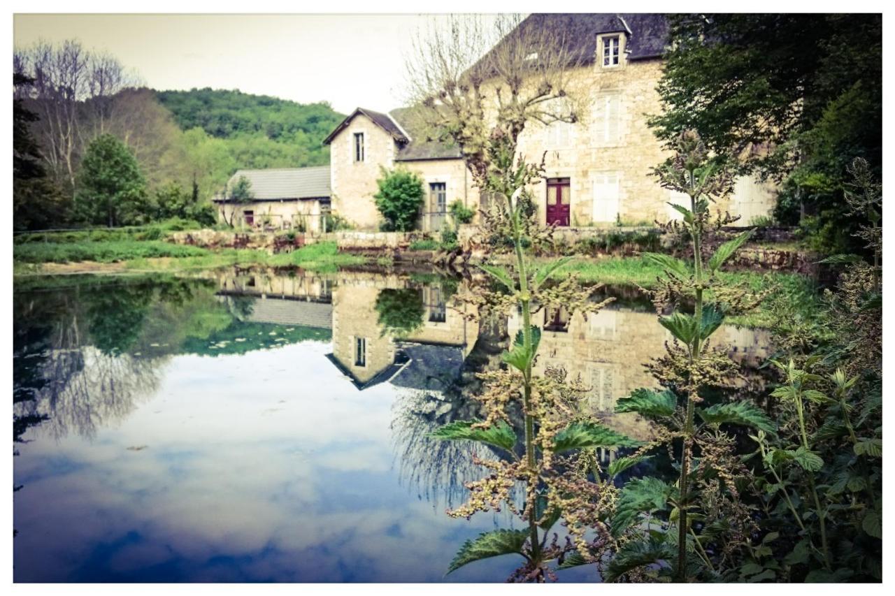 O Reve De Gabriel Bed and Breakfast Saint-Amand-de-Coly Buitenkant foto