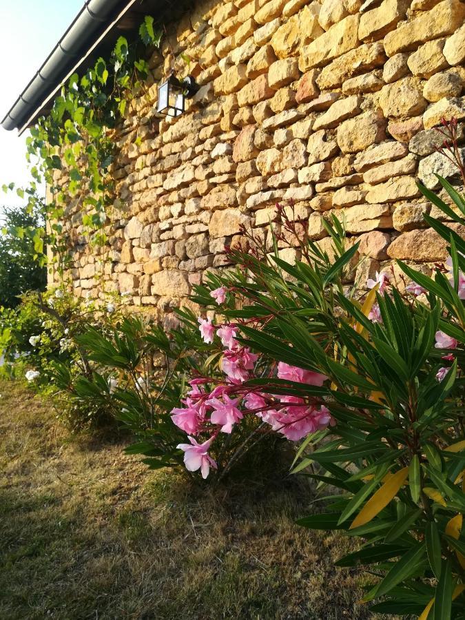 O Reve De Gabriel Bed and Breakfast Saint-Amand-de-Coly Buitenkant foto