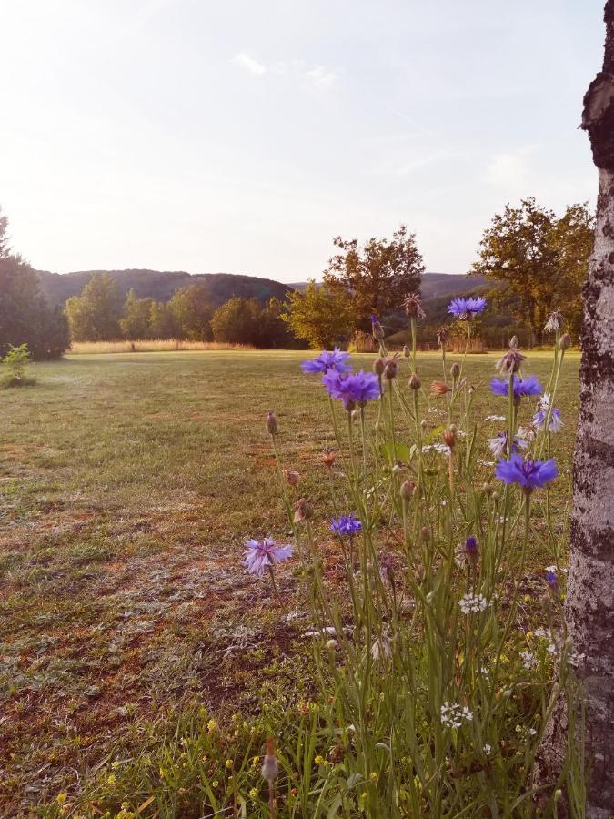 O Reve De Gabriel Bed and Breakfast Saint-Amand-de-Coly Buitenkant foto