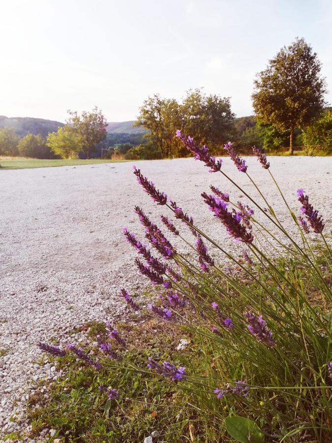 O Reve De Gabriel Bed and Breakfast Saint-Amand-de-Coly Buitenkant foto